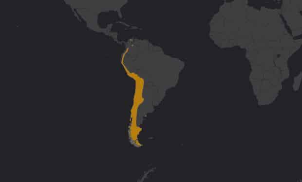 Mapa de localización del Cóndor Andino