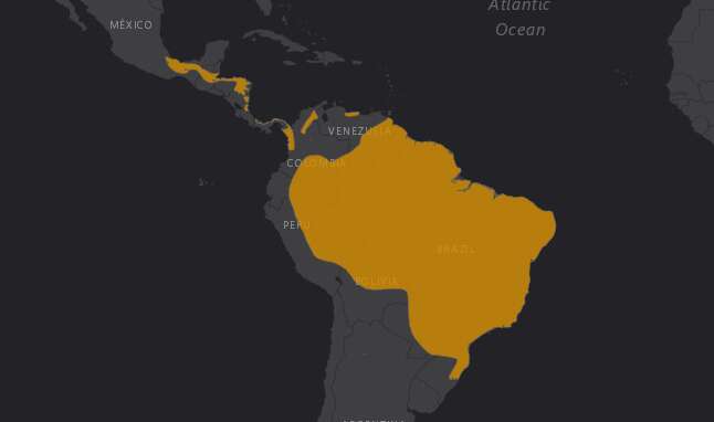 Mapa de localización del Aguila Arpía