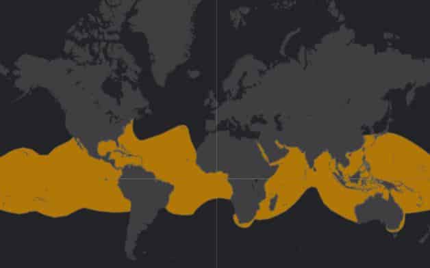 Mapa de rango geográfico para el Tiburón Ballena