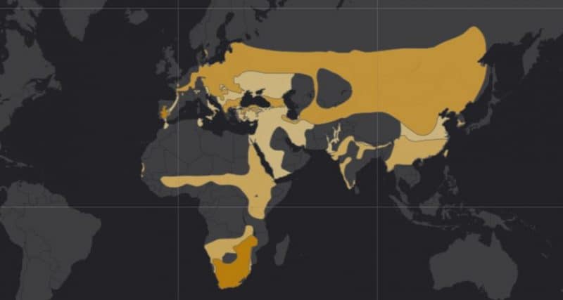 Mapa de rango geográfico para la Cigüeña Negra