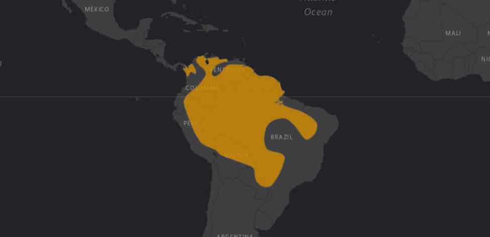 Mapa de distribución del Guacamayo Rojo