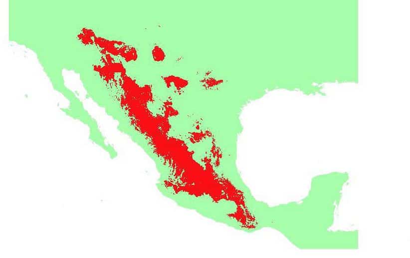 Distribución geográfica del Lobo Mexicano
